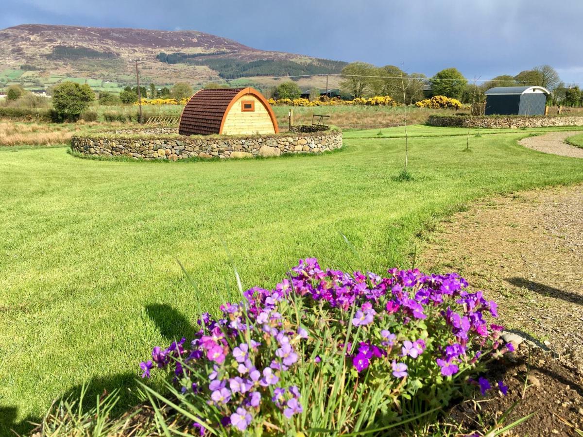 Bluebell Lane Glamping 호텔 뉴리 외부 사진