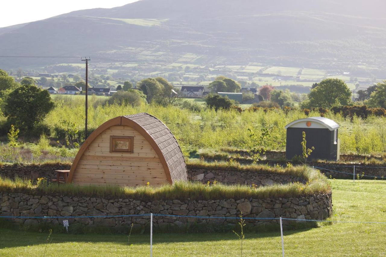 Bluebell Lane Glamping 호텔 뉴리 외부 사진