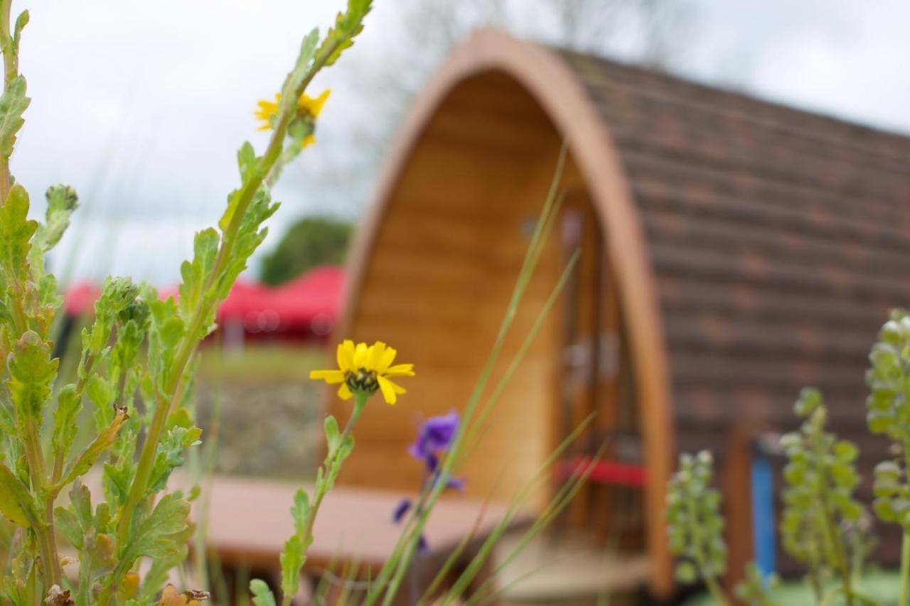 Bluebell Lane Glamping 호텔 뉴리 외부 사진
